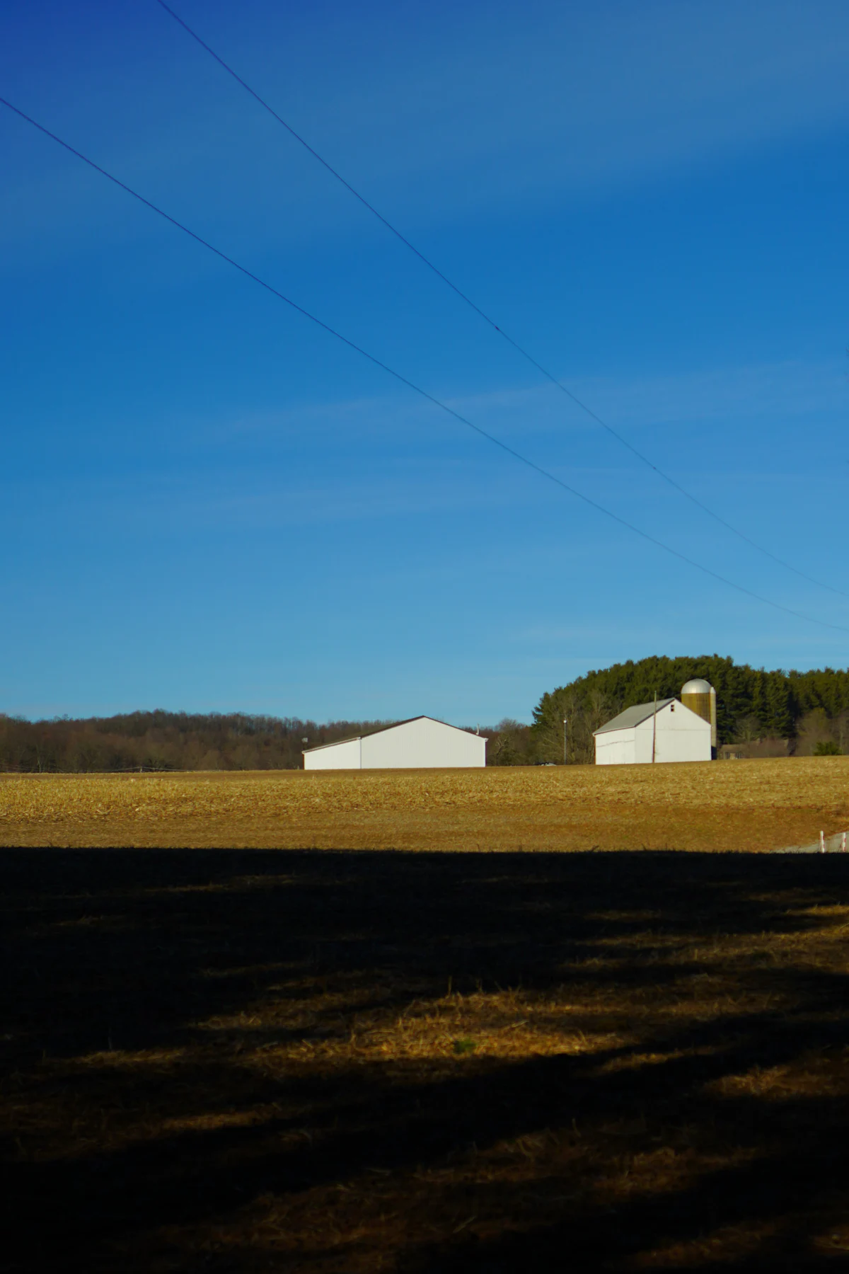 Open rural land ready for a mobile home and land package